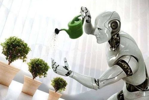 讓家庭機器人成標配 我們還需跨越哪些山丘？